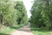 Forêt de Proverville